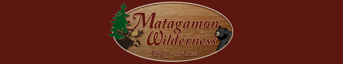 Maine Bear Hunts, Matagamon Wilderness Campground & Cabins, Patten, Maine